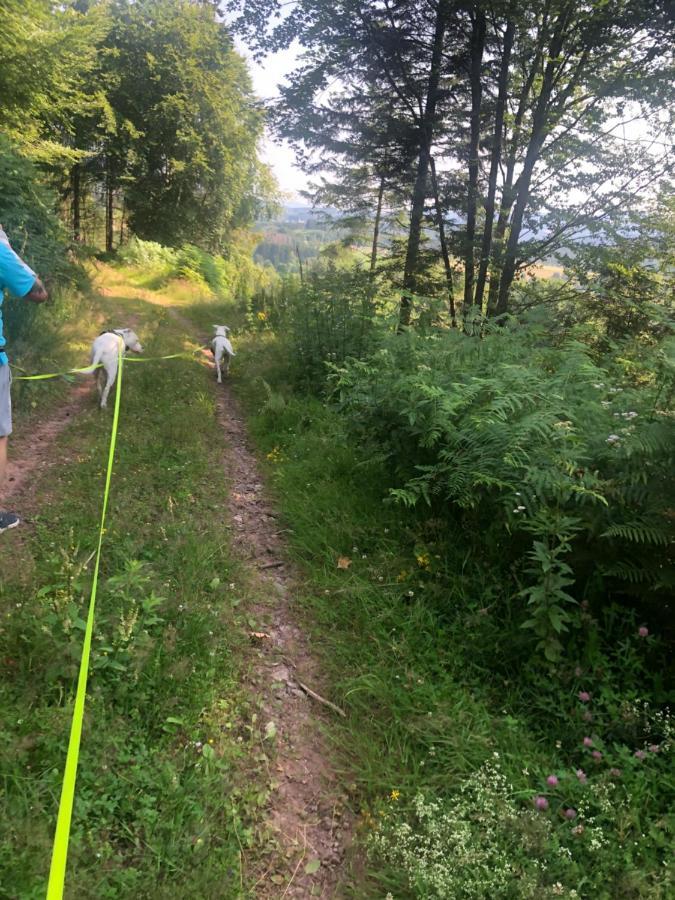 Le Clara Villa Saulxures Kültér fotó