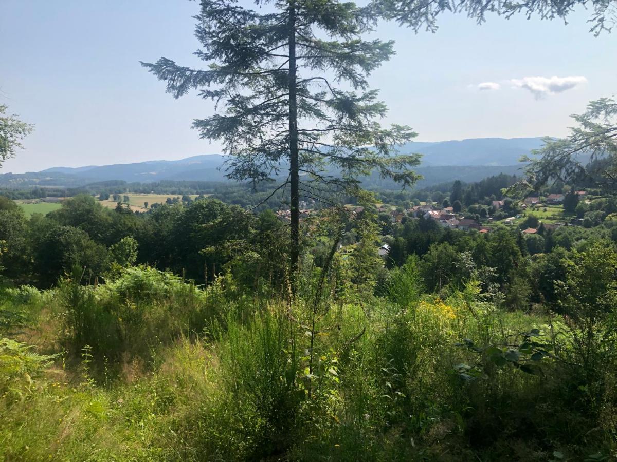 Le Clara Villa Saulxures Kültér fotó