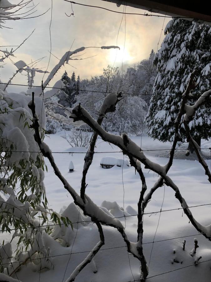 Le Clara Villa Saulxures Kültér fotó