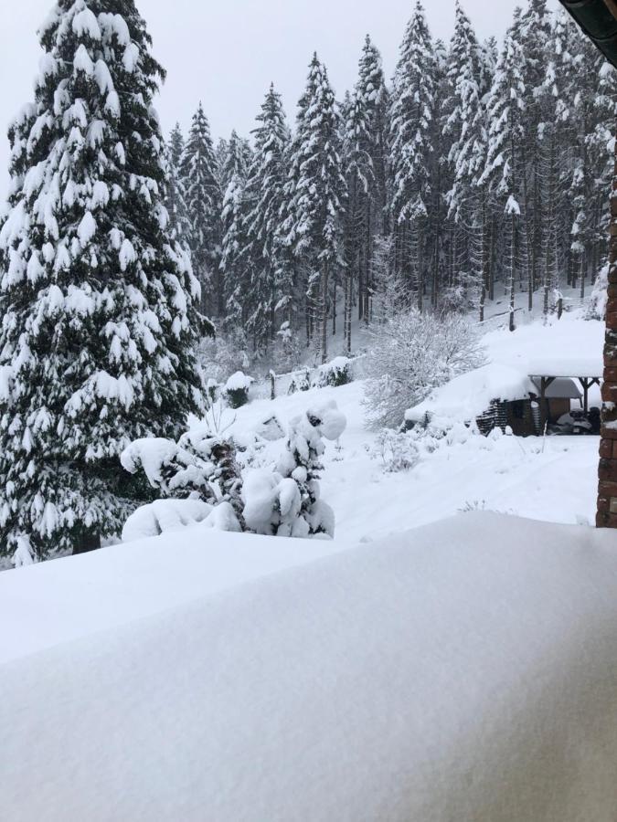 Le Clara Villa Saulxures Kültér fotó